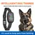 Automatic Anti-Bark Collar for Dogs