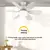 Ceiling fan with base and LED night lights - online store