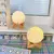 Image of Moon Lamp