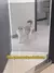 Image of Internal pet gate