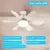 Image of Ceiling fan with base and LED night lights