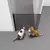 Internal pet gate