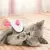 Pet Hair Removal Brush on internet