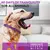 Calming collar for dogs and cats, with anxiety-reducing pheromone - Offer Store Oficial 