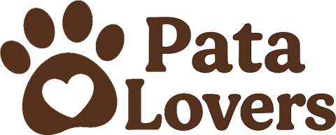 Mercadium | Tudo em um só lugar