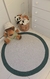 tapete decoracao quarto de bebê