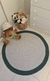 Tapete infantil Safari - Ateliê Vera Peixoto - tapetes de crochê para decoração quarto de bebê e infantil