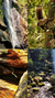 Montagem de imagens destacando a Cachoeira da Feiticeira, esquilos, uma cobra entre pedras e um riacho cercado por vegetação.