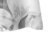 Camiseta Masculina Viscose com Elastano Premium Importado - Toque Pele de Pessego - Slimbrasil - Moda Masculina
