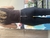 Imagen de Legging RÍE Talle 44