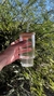 Vaso vidrio
