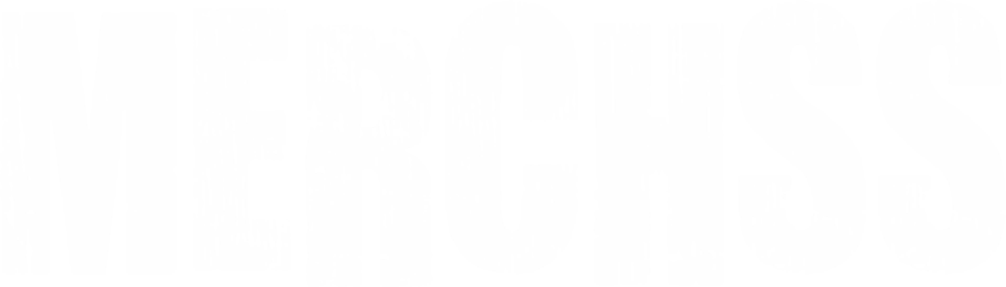 MERCH SUPPORT SOLUTIONS