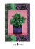 Lámina Cactus en internet