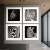 Animales Salvajes 05 - comprar online