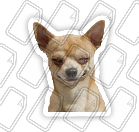 PERRO 29 - comprar online
