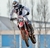 Carrusel 2