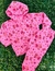 CONJUNTO SOFT BABY - comprar online