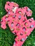 CONJUNTO SOFT BABY - KidsWorld Moda Infantil