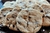 Choco chip cookies x10