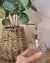 Dispenser de vidrio
