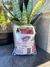 Troya hormiguicida cebo - comprar online
