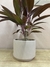 Maceta ceramica Deluxe - tienda online