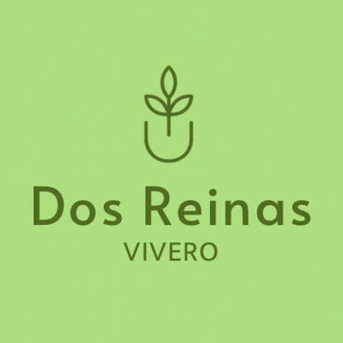 Dos reinas web