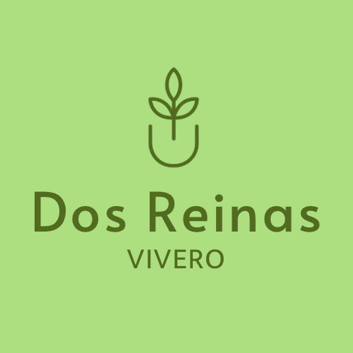 Dos reinas web