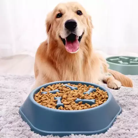 Alimentador para cães - Home Moods
