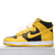 Dunk "Michigan" - comprar online