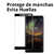 Vidrio Templado para Celular – Compatibles con Nokia - Protección Ultra Resistente - Tiendasiloe