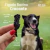 Fígado Bovino Crocante 60g - Petisco Natural Desidratado para Cães e Gatos I Pet Bem - comprar online