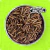 Comida de Dragão Original® Petisco Natural Hipoalergênico para Pets | Petdicama - comprar online