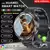 Smartwatch 2025 com GPS e NFC - Tecnologia Avançada e Design Sofisticado para Homens - Asstech Smart Shop