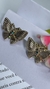 Brinco Borboleta 3 Strass Multicor Folheado a Ouro 18k - comprar online