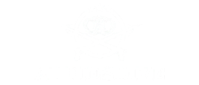 Addiesdive - Relógio Masculino - Loja Addiesdive Oficial