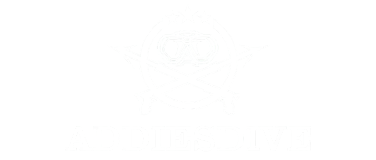Addiesdive Brasil - Relógio Masculino - Relogios Elegantes e Sofisticados 