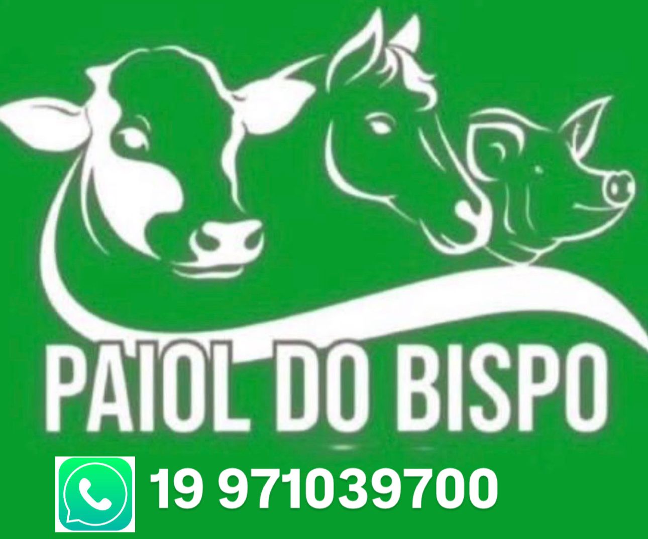 PAIOL DO BISPO VIRTUAL