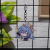 Honkai: Star Rail - Llaveros de Sunday - MofuStore HN