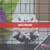 Genshin Impact - Llavero peluche de Arataki Itto - comprar en línea