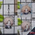 Honkai: Star Rail - Llaveros de Yanqing