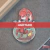 The Legend of Zelda: Breath of the Wild - Pin de Mipha