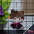 Genshin Impact - Llavero peluche de Zhongli - comprar en línea