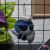 Hollow Knight - Llavero peluche de Myla
