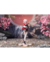 Gift+ Honkai: Star Rail 1/8 March 7th: The Hunt - MofuStore HN