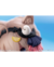 Imagen de Gift+ Honkai Impact 3rd Pardofelis Midsummer Collector ver. 1/8