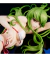 "Code Geass: Lelouch of the Rebellion" C.C. Swimsuit ver.