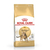 ROYAL F X 2 KG BENGAL - comprar en línea