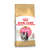 ROYAL F X 2 KG PERSIAN KITTEN - comprar en línea