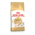 ROYAL F X 2 KG SPHYNX - comprar en línea